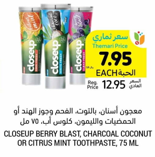 CLOSE UP Toothpaste  in Tamimi Market in KSA, Saudi Arabia, Saudi - Hafar Al Batin