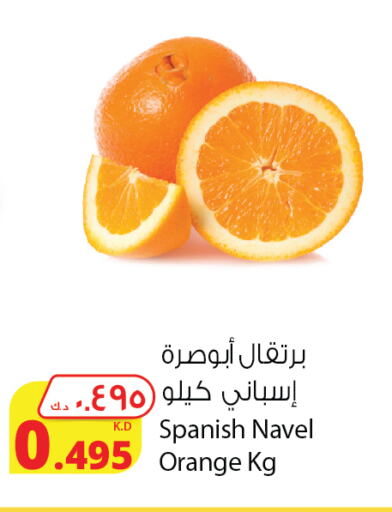  Orange  in Agricultural Food Products Co. in Kuwait - Ahmadi Governorate