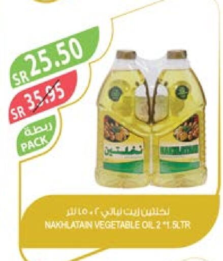 Nakhlatain Vegetable Oil  in Farm  in KSA, Saudi Arabia, Saudi - Tabuk