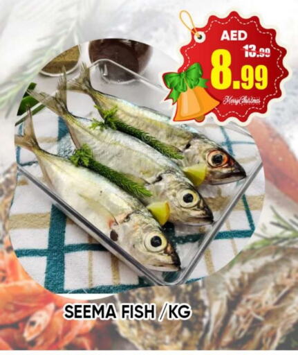    in Leptis Hypermarket  in UAE - Ras al Khaimah