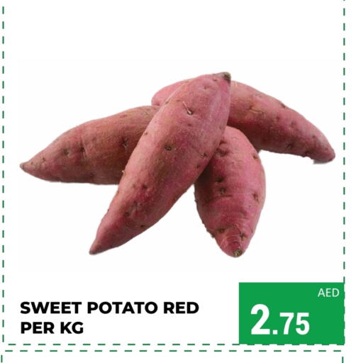  Sweet Potato  in Kerala Hypermarket in UAE - Ras al Khaimah