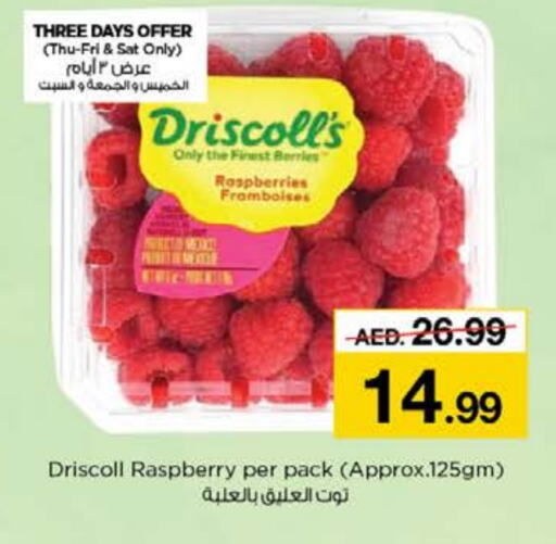  Berries  in Nesto Hypermarket in UAE - Dubai