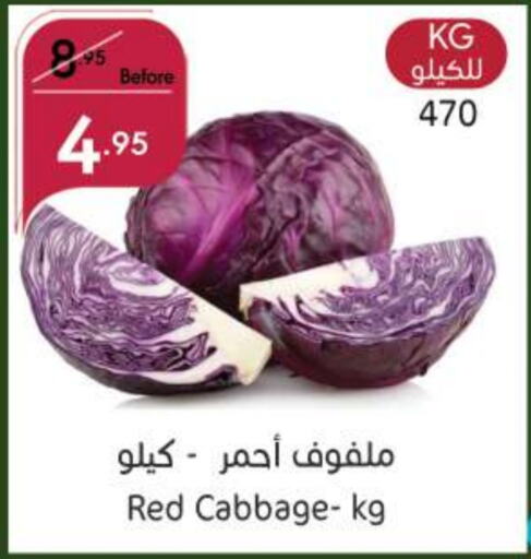  Cabbage  in Manuel Market in KSA, Saudi Arabia, Saudi - Jeddah