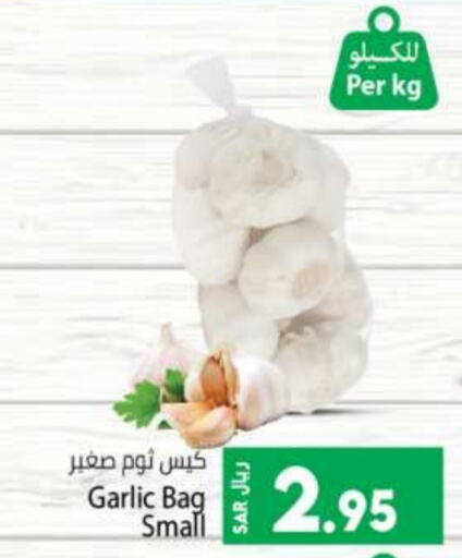  Garlic  in Kabayan Hypermarket in KSA, Saudi Arabia, Saudi - Jeddah