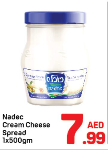 NADEC Cream Cheese  in Day to Day Department Store in UAE - Sharjah / Ajman