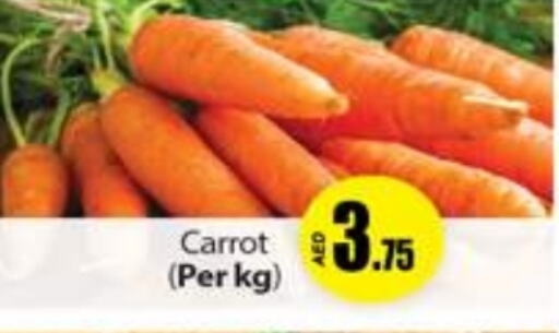  Carrot  in Gulf Hypermarket LLC in UAE - Ras al Khaimah