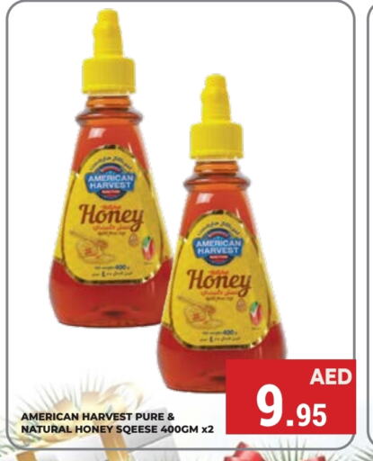 AMERICAN HARVEST Honey  in Kerala Hypermarket in UAE - Ras al Khaimah