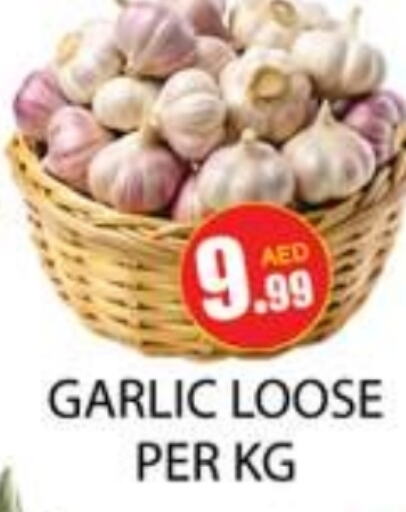  Garlic  in Zain Mart Supermarket in UAE - Ras al Khaimah