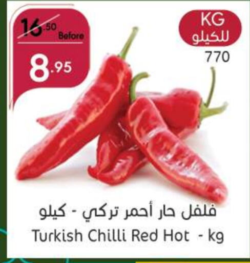  Chilli / Capsicum  in Manuel Market in KSA, Saudi Arabia, Saudi - Jeddah