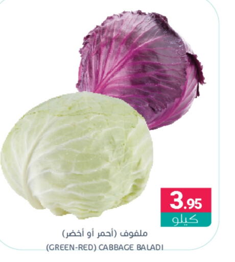  Cabbage  in Muntazah Markets in KSA, Saudi Arabia, Saudi - Qatif