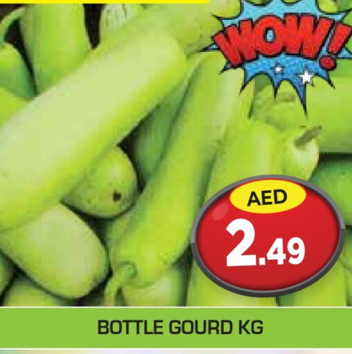  Gourd  in Baniyas Spike  in UAE - Ras al Khaimah