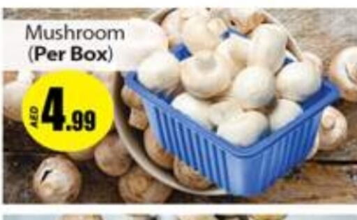  Mushroom  in Gulf Hypermarket LLC in UAE - Ras al Khaimah