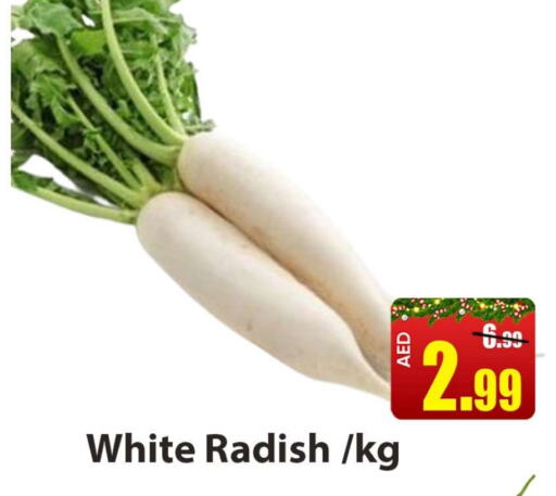  Radish  in Leptis Hypermarket  in UAE - Ras al Khaimah