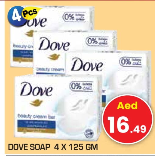 DOVE   in Baniyas Spike  in UAE - Ras al Khaimah