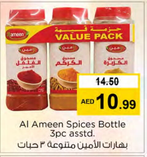 AL AMEEN Spices  in Nesto Hypermarket in UAE - Ras al Khaimah