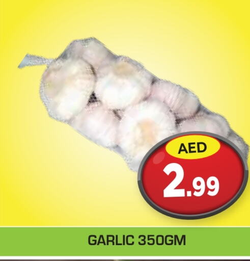  Garlic  in Baniyas Spike  in UAE - Ras al Khaimah