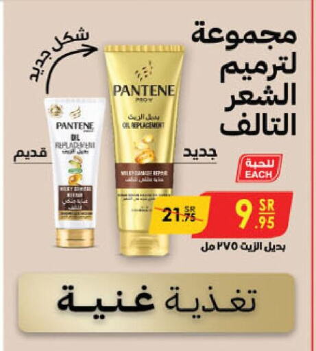 PANTENE   in Danube in KSA, Saudi Arabia, Saudi - Khamis Mushait