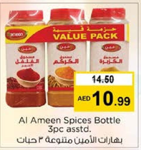 AL AMEEN Spices  in Nesto Hypermarket in UAE - Dubai