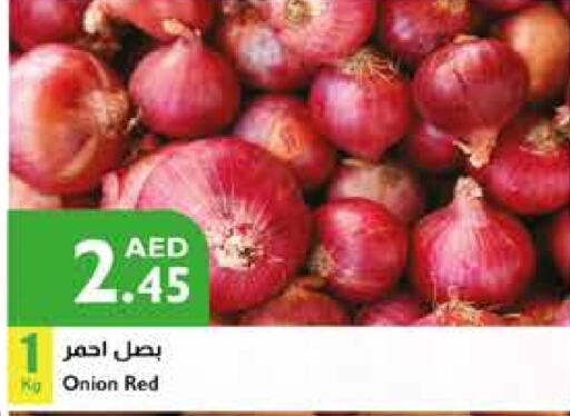  Onion  in Istanbul Supermarket in UAE - Ras al Khaimah