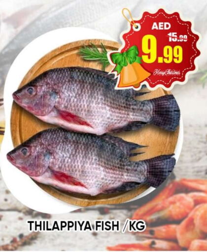    in Leptis Hypermarket  in UAE - Ras al Khaimah