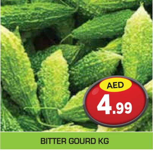  Gourd  in Baniyas Spike  in UAE - Ras al Khaimah