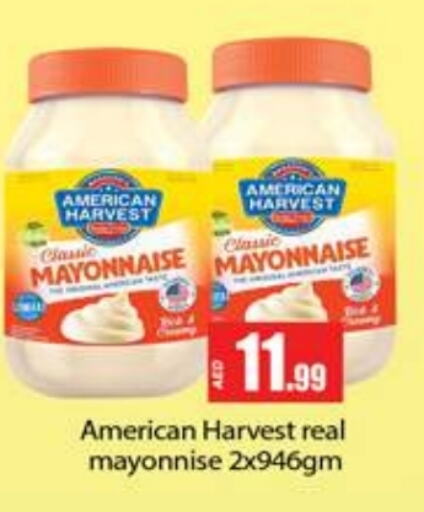 AMERICAN CLASSIC Mayonnaise  in Gulf Hypermarket LLC in UAE - Ras al Khaimah