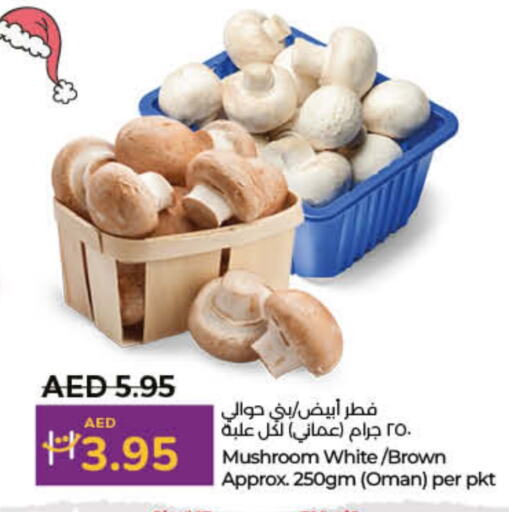  Mushroom  in Lulu Hypermarket in UAE - Ras al Khaimah