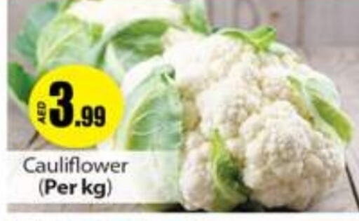  Cauliflower  in Gulf Hypermarket LLC in UAE - Ras al Khaimah