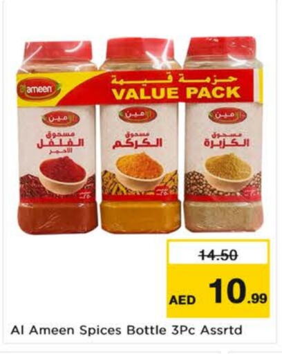 AL AMEEN Spices  in Nesto Hypermarket in UAE - Dubai