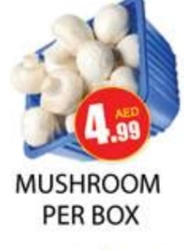  Mushroom  in Zain Mart Supermarket in UAE - Ras al Khaimah