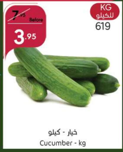  Cucumber  in Manuel Market in KSA, Saudi Arabia, Saudi - Jeddah