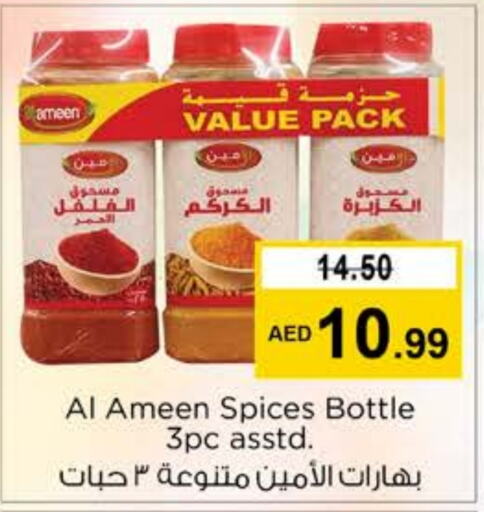 AL AMEEN Spices  in Nesto Hypermarket in UAE - Ras al Khaimah