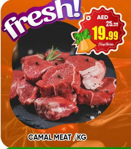    in Leptis Hypermarket  in UAE - Ras al Khaimah