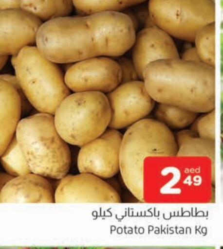  Potato  in AL MADINA in UAE - Sharjah / Ajman