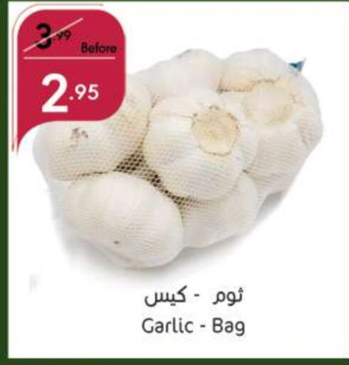  Garlic  in Manuel Market in KSA, Saudi Arabia, Saudi - Jeddah