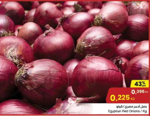  Onion  in The Sultan Center in Kuwait - Ahmadi Governorate