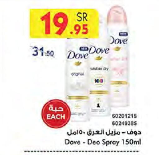 DOVE   in Bin Dawood in KSA, Saudi Arabia, Saudi - Jeddah