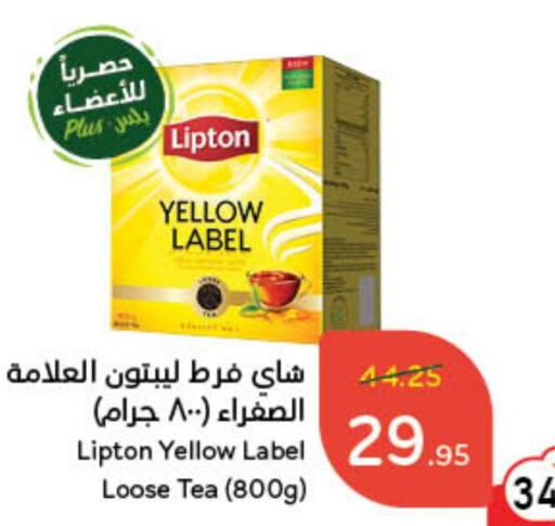 Lipton