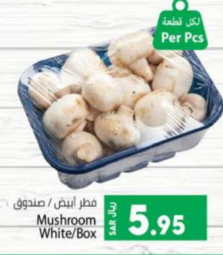  Mushroom  in Kabayan Hypermarket in KSA, Saudi Arabia, Saudi - Jeddah