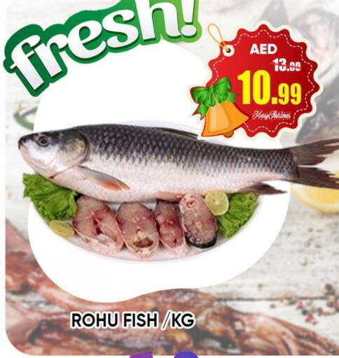    in Leptis Hypermarket  in UAE - Ras al Khaimah