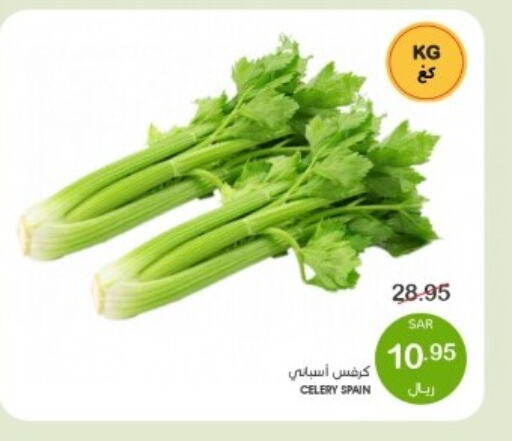  Celery  in Mazaya in KSA, Saudi Arabia, Saudi - Dammam