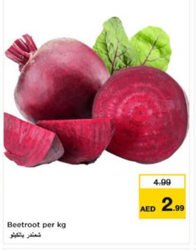  Beetroot  in Last Chance  in UAE - Fujairah