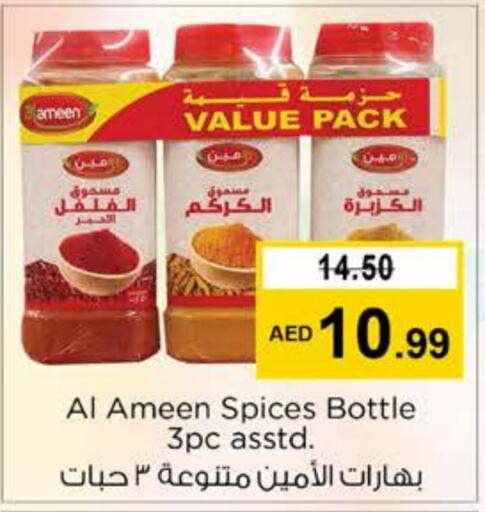 AL AMEEN Spices  in Nesto Hypermarket in UAE - Dubai