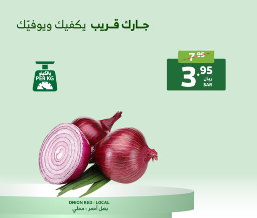  Onion  in Al Raya in KSA, Saudi Arabia, Saudi - Yanbu