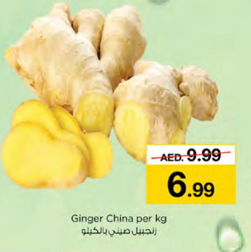  Ginger  in Nesto Hypermarket in UAE - Ras al Khaimah