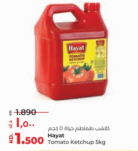 HAYAT Tomato Ketchup  in Lulu Hypermarket  in Kuwait - Ahmadi Governorate