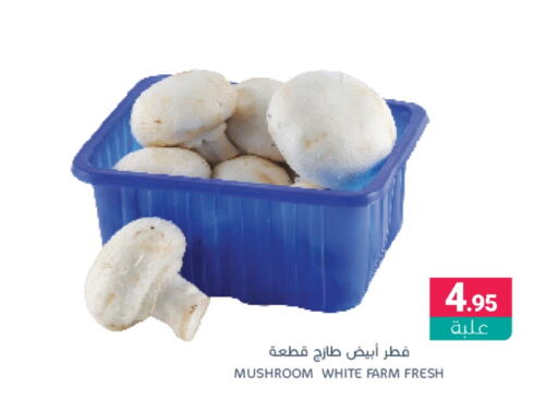  Mushroom  in Muntazah Markets in KSA, Saudi Arabia, Saudi - Qatif