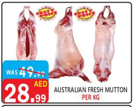  Mutton / Lamb  in United Hypermarket in UAE - Dubai