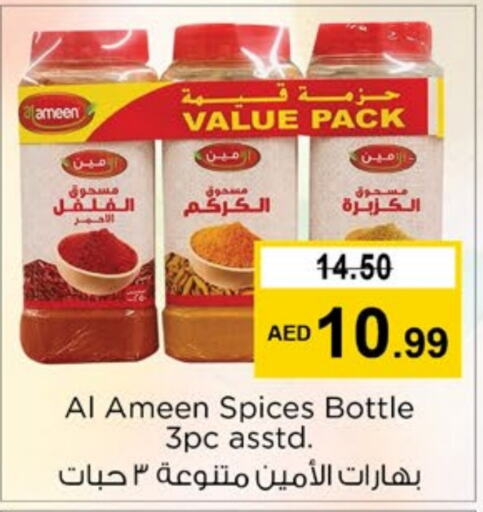 AL AMEEN Spices  in Nesto Hypermarket in UAE - Fujairah