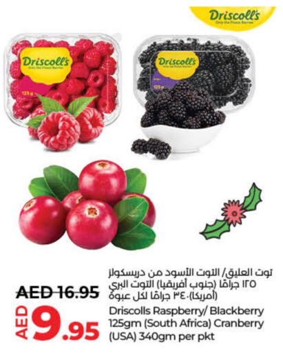  Berries  in Lulu Hypermarket in UAE - Fujairah